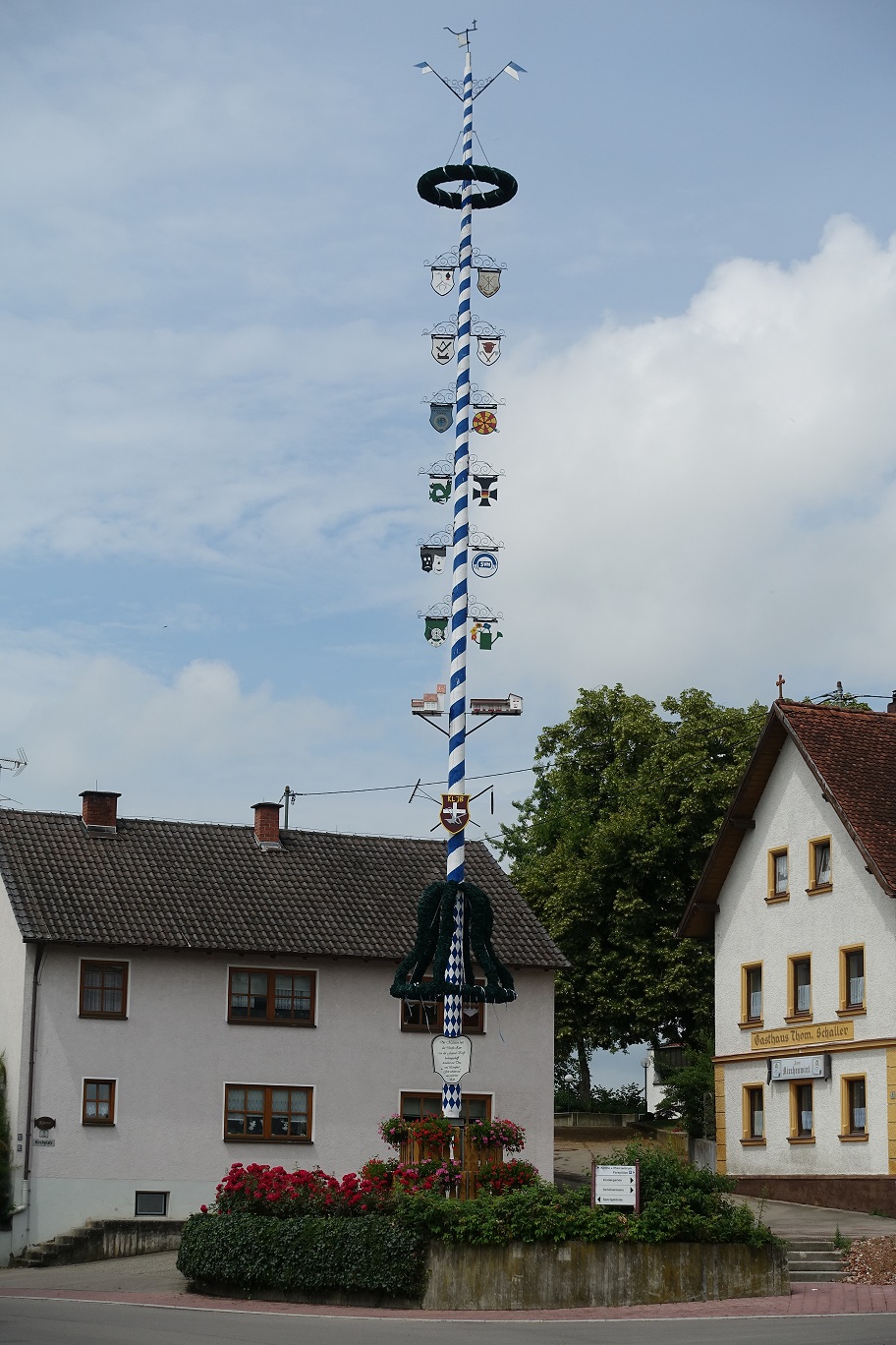 Maibaum Münster