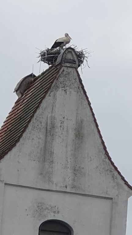 20250317_101447.jpg