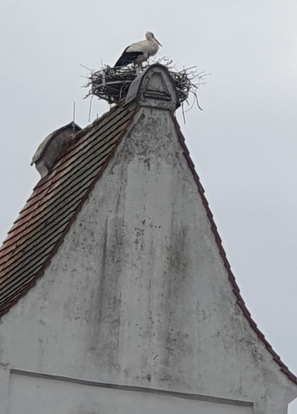20250317_101447.jpg
