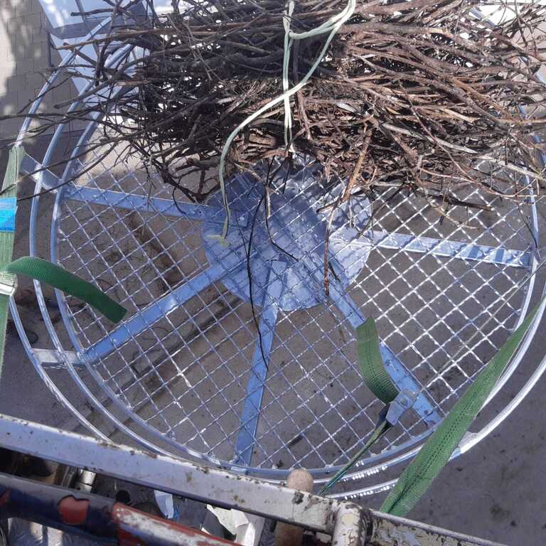 image0.jpeg